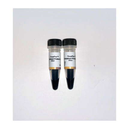 TruePro (TM) Prestained Protein Ladder, 2x250 uL