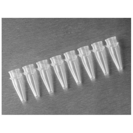 Axygen 0.2mL Polypropylene PCR Tube Strips, 8 Tubes/Strip, Clear, Non-sterile, 125 Strips/Pack, 10 Packs/Case