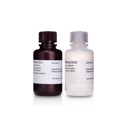 Amersham ECL Prime Western Blotting Detection Reagent, 100ml