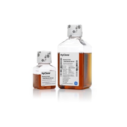 Fetal Bovine Serum,South American (SA), 500mL